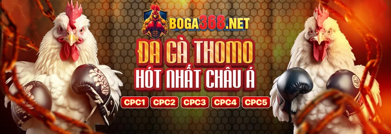 Chơi game có trách nhiệm zv99 nhà cái