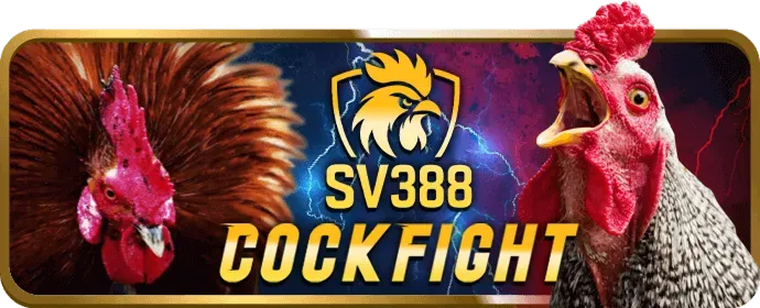 Quản lý tùy chọn cookie zv99 nhà cái